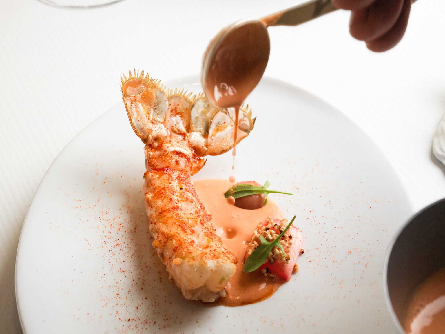 Langoustine — Fabien Ferré